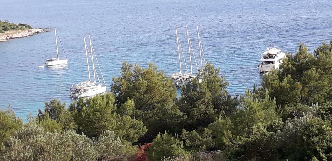 Kuca Paradise- Robinson Μούρτερ Εξωτερικό φωτογραφία