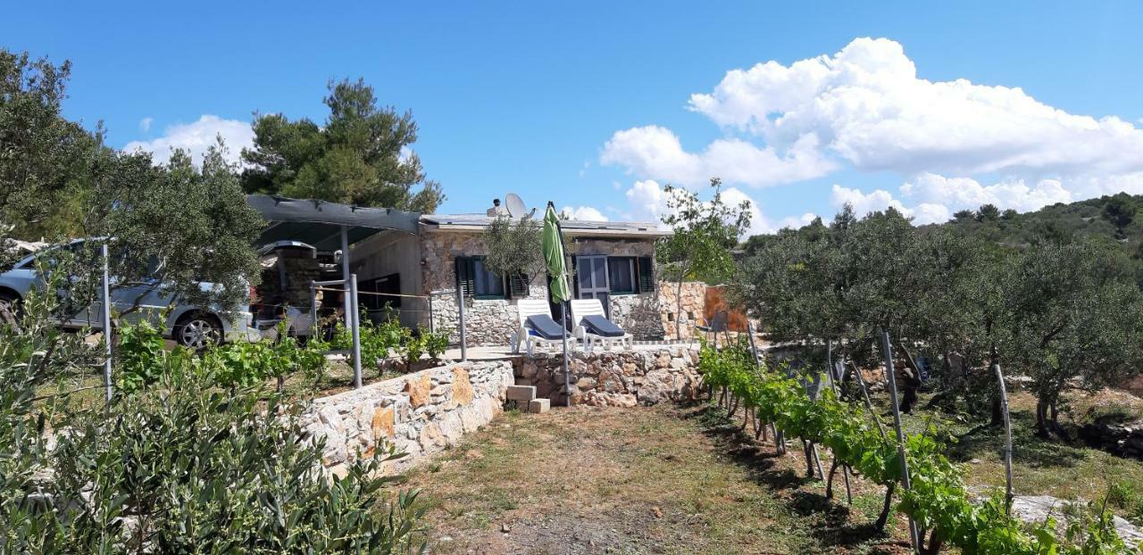 Kuca Paradise- Robinson Μούρτερ Εξωτερικό φωτογραφία